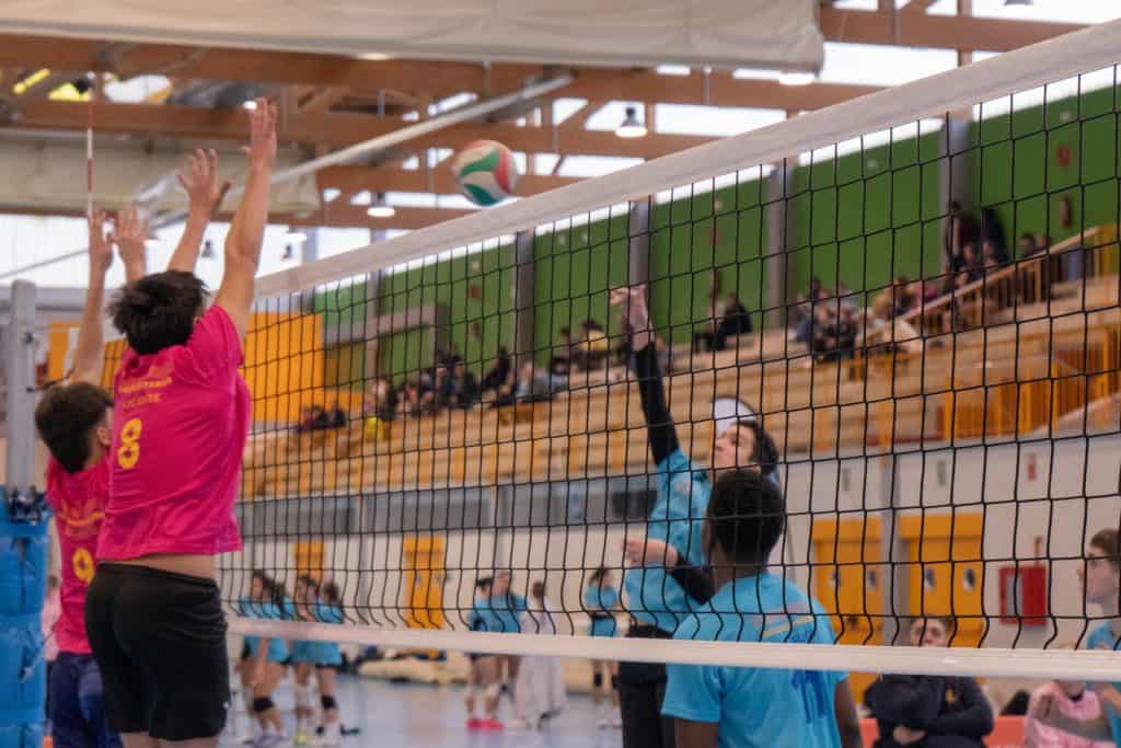 El deporte federado valenciano supera el medio millón de licencias y ...